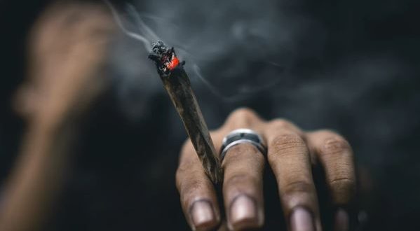 Il Cbd Potrebbe Arrestare La Dipendenza Da Marijuana